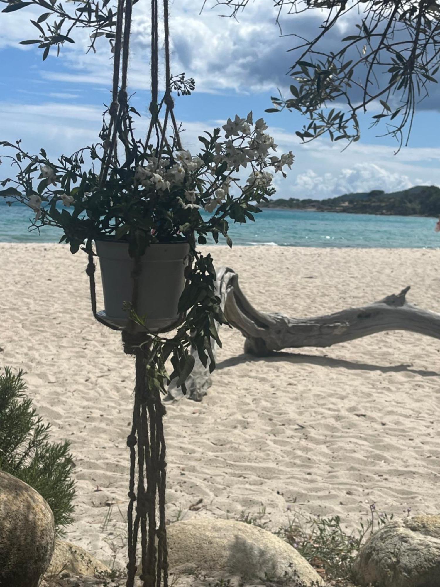 Favone Mini Villa Playa Del Oro 外观 照片