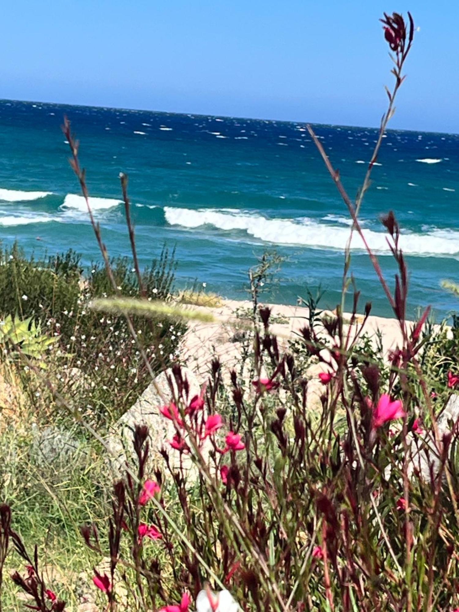 Favone Mini Villa Playa Del Oro 外观 照片